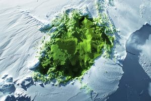Découvrez pourquoi la première carte des espaces verts de l'Antarctique va vous surprendre et inquiéter