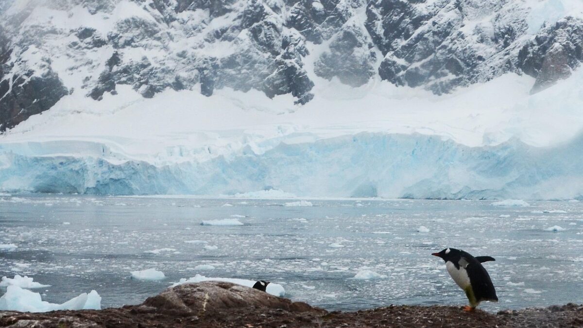Paysage antarctique avec un front glaciaire bleuté, des montagnes enneigées et une eau grise parsemée de petits icebergs. Deux manchots se tiennent sur un rivage rocheux, l'un au premier plan.