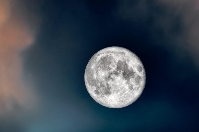 Et si la Lune devenait le dernier sanctuaire pour la biodiversité terrestre en péril ?