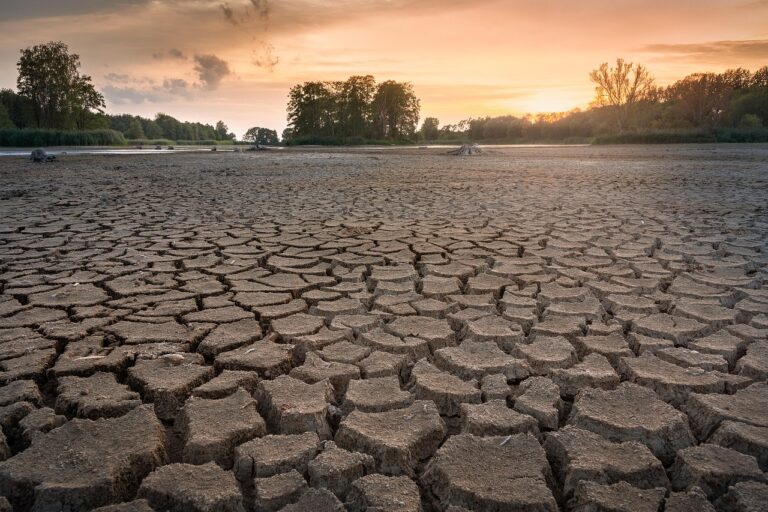 Les dangers cachés du réchauffement climatique : pourquoi chaque dixième de degré compte pour notre futur ?