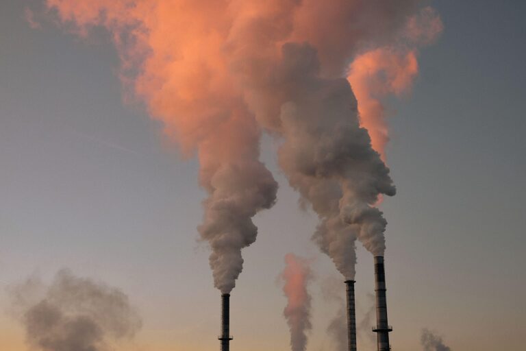 Les puits de carbone : le danger caché qui menace notre avenir climatique et notre survie