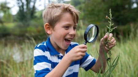 À 8 ans, Hugo révolutionne 100 ans de science : sa découverte sur les fourmis et plantes émerveille les experts