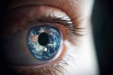 Ce cerveau unique : l&rsquo;hypothèse révolutionnaire qui explique pourquoi les humains dominent la planète entière