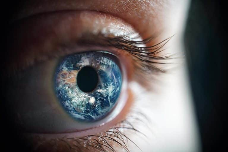 Ce cerveau unique : l&rsquo;hypothèse révolutionnaire qui explique pourquoi les humains dominent la planète entière