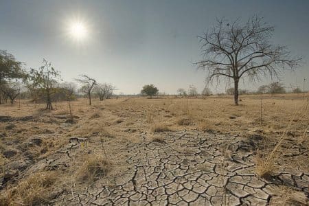 Ce chiffre choquant : 77,6% des terres se dessèchent, menaçant 5 milliards de vies d'ici la fin du siècle