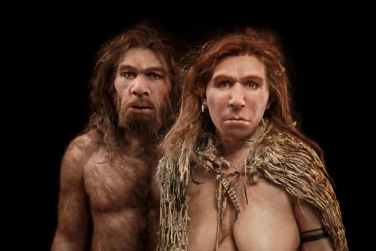 Cette découverte ADN bouleverse l’histoire : les Néandertaliens n’auraient jamais vraiment disparu