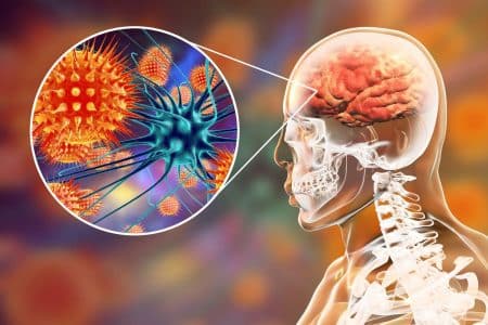 Ce virus méconnu toucherait 80% d’entre nous et pourrait être la clé pour comprendre Alzheimer Ce virus méconnu toucherait 80% d’entre nous et pourrait être la clé pour comprendre Alzheimer