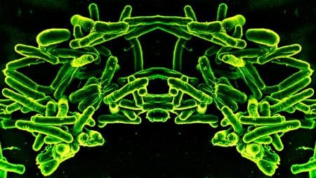 Ces bactéries-miroirs pourraient échapper à notre système immunitaire et causer un chaos écologique mondial