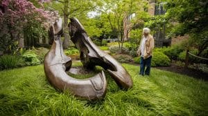 Cette mâchoire de mastodonte, cachée 13 000 ans sous un jardin de New York, bouleverse la paléontologie mondiale