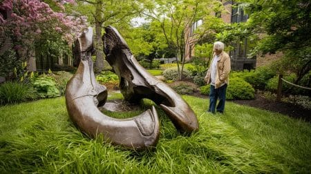 Cette mâchoire de mastodonte, cachée 13 000 ans sous un jardin de New York, bouleverse la paléontologie mondiale
