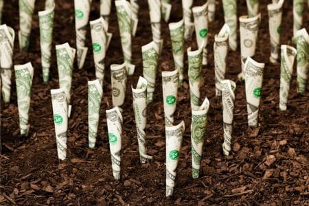 Une percée scientifique pourrait sauver l&rsquo;agriculture mondiale de pertes annuelles de 220 milliards de dollars