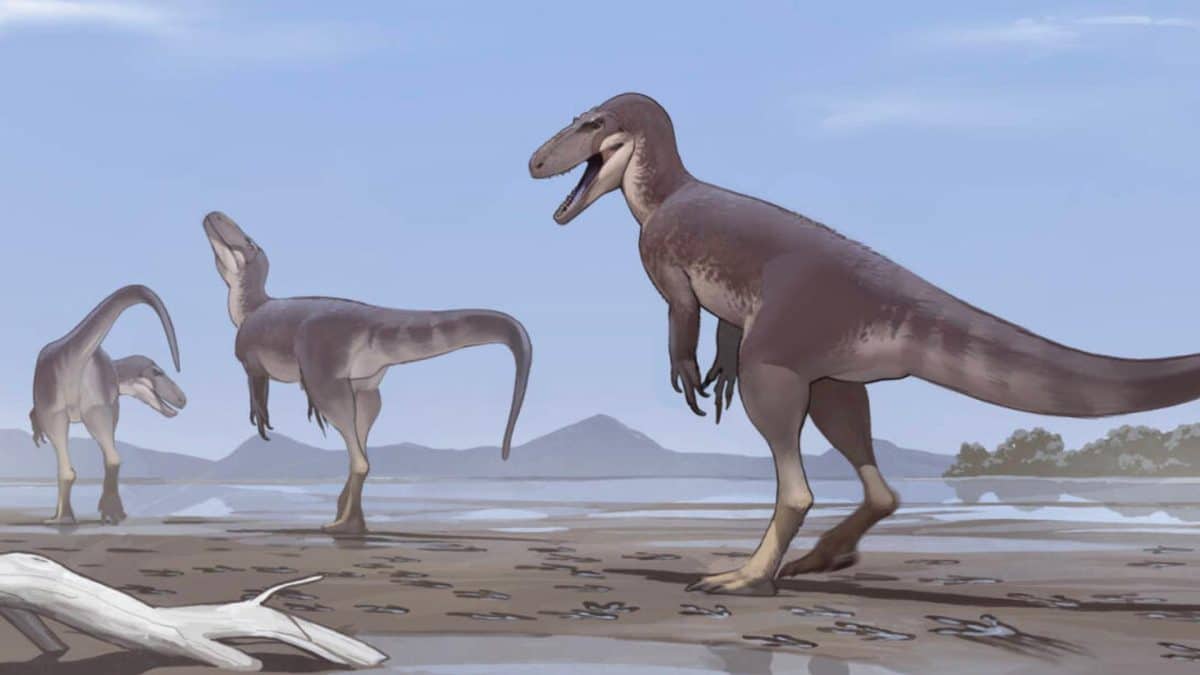 Terrifiant mais fascinant : des traces de dinosaures carnivores vieux de 130 millions d’années dévoilent l’ombre d’un prédateur monstrueux et redouté À 130 millions d’années, ces empreintes de dinosaures carnivores révèlent un passé terrifiant et fascinant