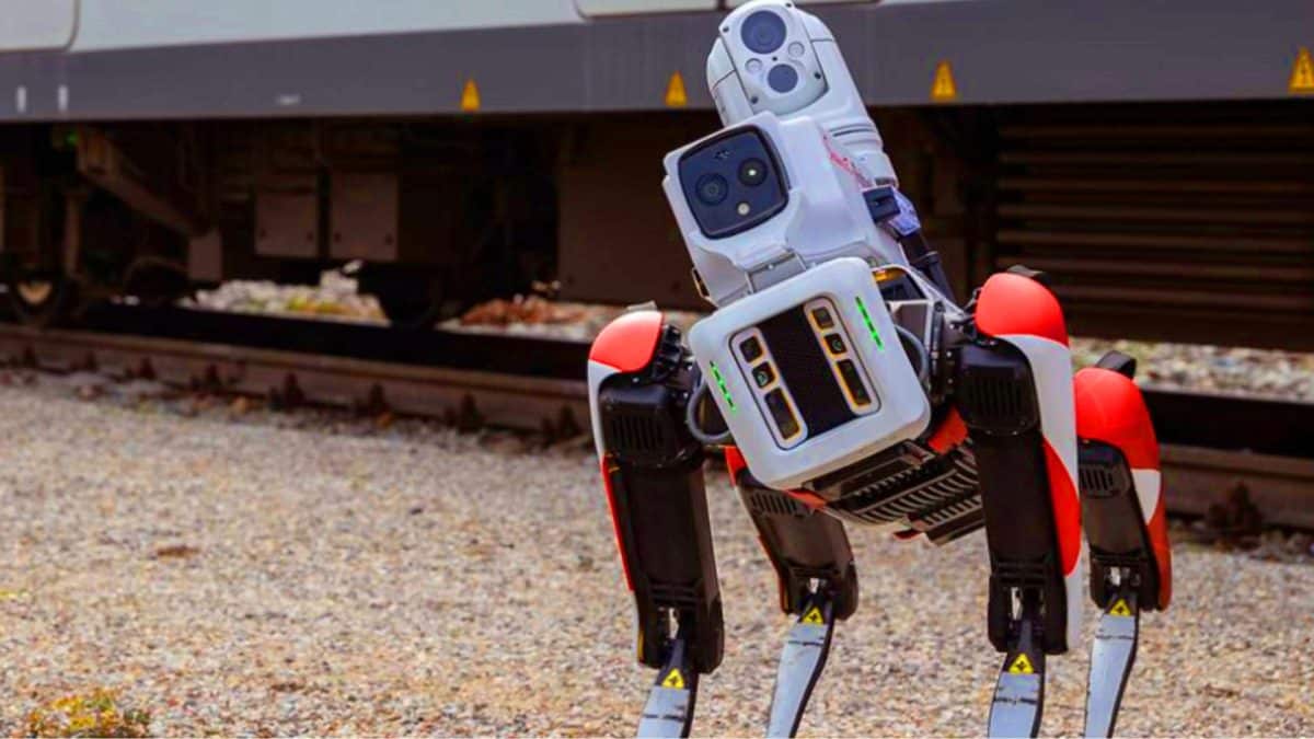 Ce chien robot allemand traque les graffitis illégaux et révolutionne la sécurité ferroviaire Ce chien-robot d’Allemagne traque les graffiteurs grâce à une IA analysant 1 200 photos pour sauver un million d’euros par an