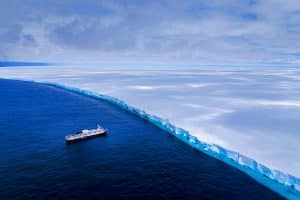 Ce monstre glacial de 36 ans menace une oasis faunique : l&rsquo;iceberg A23a fonce vers l&rsquo;île de South Georgia