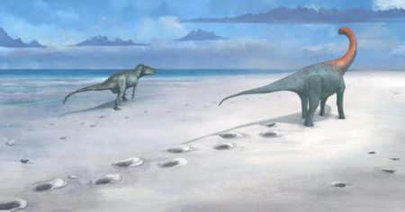 Ces 200 empreintes de dinosaures, vieilles de 166 millions d&rsquo;années, émergent comme un trésor en pleine Angleterre