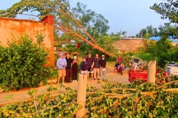 Ces drones révolutionnaires détectent 14 tornades cachées, même dans les forêts les plus denses de Chine