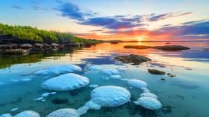 Ces eaux côtières peu profondes libèrent des tonnes de méthane, un danger méconnu pour notre planète en péril
