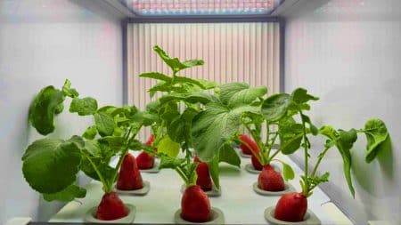 Cette AI révolutionnaire transforme votre salon en ferme high-tech, optimisant la croissance des plantes à domicile