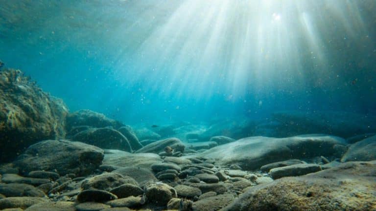 Une terre de l’âge de pierre submergée sous la mer du Nord dévoile les mystères d’une civilisation oubliée depuis des millénaires