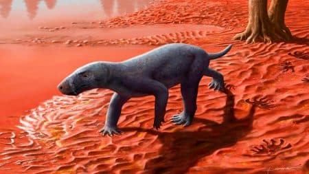 Cette créature à dents de sabre vieille de 270 millions d’années, proche du chien, exhumée en Espagne Cette découverte en Espagne bouleverse l’histoire : un fossile de « chien à dents de sabre » vieux de 270 millions d’années