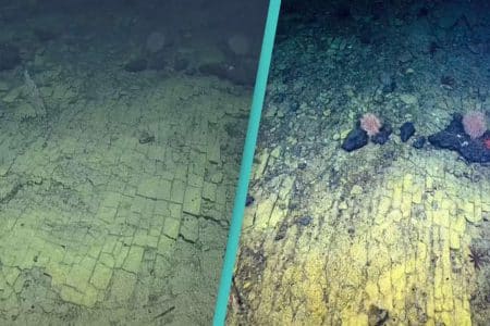 Cette fascinante route de briques jaunes à 3000 mètres sous l&rsquo;océan défie toute explication scientifique moderne