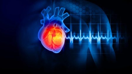 Cette IA révolutionnaire pourrait prédire les crises cardiaques des années à l’avance grâce à des scans CT, sauvant des millions de vies