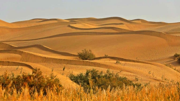 La Chine dompte le 2ᵉ plus grand désert mouvant du monde grâce à ce mur solaire révolutionnaire