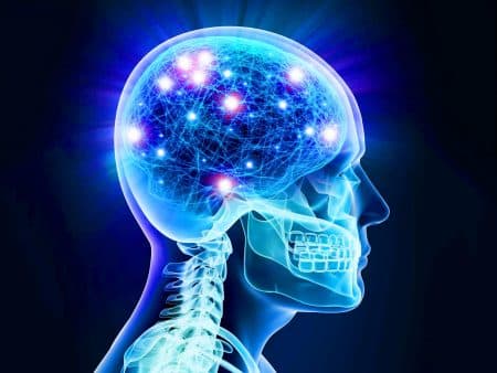 Les souvenirs ne seraient pas seulement dans le cerveau : cette découverte bouleverse notre compréhension de la mémoire Cette percée scientifique révèle que nos reins et nerfs possèdent une mémoire, tout comme notre cerveau !