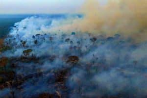L&rsquo;Amazonie en flammes : 30,8 millions d&rsquo;hectares dévorés par le feu, un bond de 79% qui alarme le monde