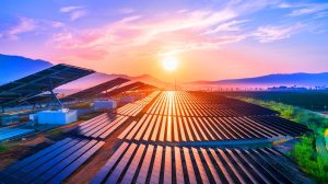 Cette feuille chinoise suit le soleil et booste l'énergie de 800% : une révolution solaire en marche