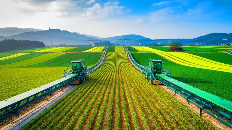 La Corée du Sud révolutionne l’or vert : cette technologie divise par deux le temps de production et bouscule l’industrie