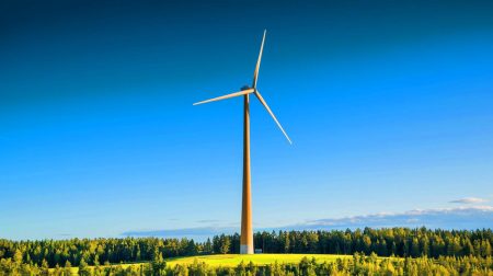 « Aussi haute que la Statue de la Liberté » : la Suède dévoile cette éolienne en bois qui redéfinit l’énergie verte mondiale