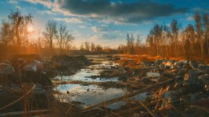 Désastre écologique en Ukraine : découvrez les chiffres choquants de trois ans de conflit dévastateur