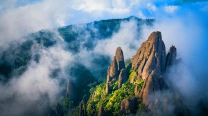 « Un trésor naturel méconnu » : le mont Roraima dévoile des espèces inédites et fascine le monde entier