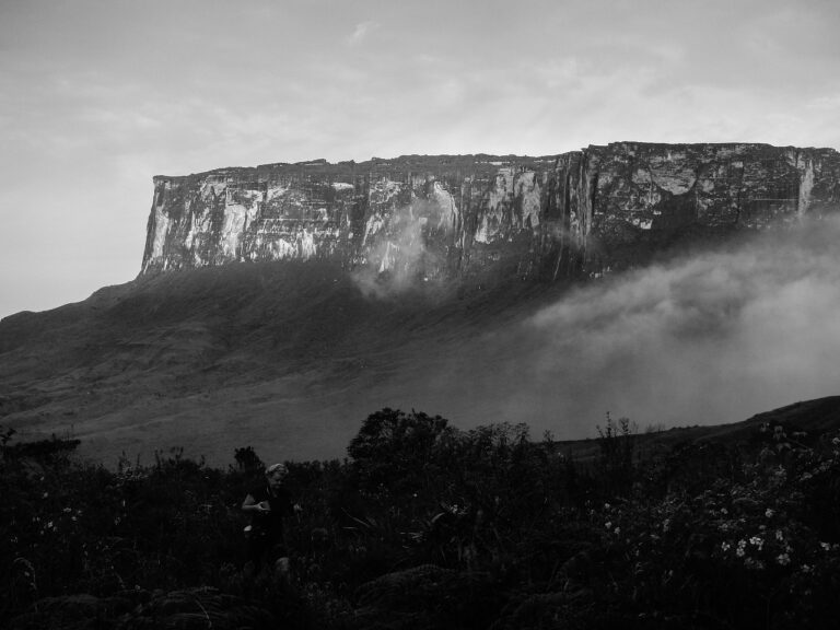 « Un trésor naturel méconnu » : le mont Roraima dévoile des espèces inédites et fascine le monde entier