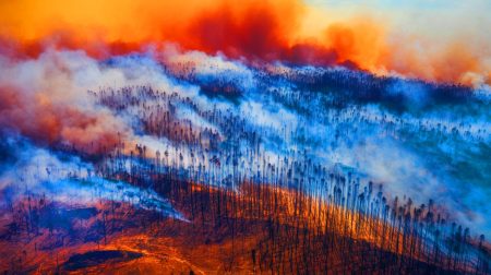 Feux dans les Landes en 2022 : une catastrophe prévisible ignorée, révélant les failles béantes de notre gestion des risques climatiques « Ces feux dévastateurs des Landes » : une catastrophe inévitable qui bouleverse la France et exige des leçons urgentes pour l’avenir