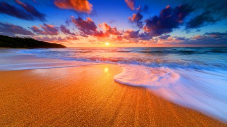Explosion de merveilles : cette découverte de l'or de plage, une première mondiale, fascine par ses détails d'une beauté à couper le souffle