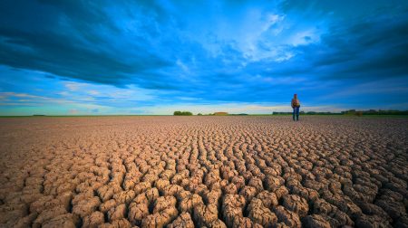 « La moitié des sols français en état critique » : une catastrophe agricole imminente menace toute l'alimentation nationale