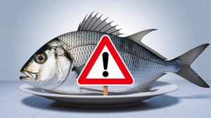 « Ne mangez plus jamais ce poisson » : la menace invisible qui pourrait anéantir votre passion pour les fruits de mer en 2023 !