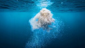 « Un tsunami de progrès écologique » : ce plastique révolutionnaire se dissout en un clin d’œil dans l’eau salée sans laisser le moindre microplastique