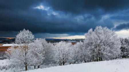 Vortex polaire perturbé : l'Europe condamnée à un refroidissement historique bouleversant, des températures glaciales jamais vues s'abattent sur le continent