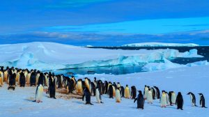 Illustration de l'impact des excréments de manchots sur la formation de nuages en Antarctique. Image réalisée par IA.