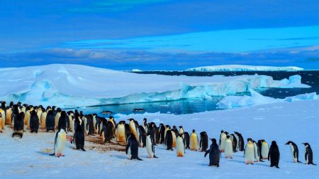 Illustration de l'impact des excréments de manchots sur la formation de nuages en Antarctique. Image réalisée par IA.