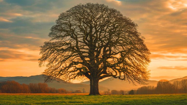 Des arbres plus malins que prévu : le modèle gMST explose la règle de Vinci en prouvant une circulation de sève ultra-efficace