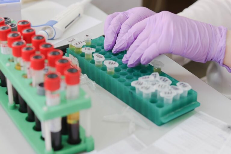 « C&rsquo;est l&rsquo;aube d&rsquo;une nouvelle ère » : cette IA biologique bouleverse la sélection naturelle et redéfinit l&rsquo;évolution des espèces à une vitesse fulgurante