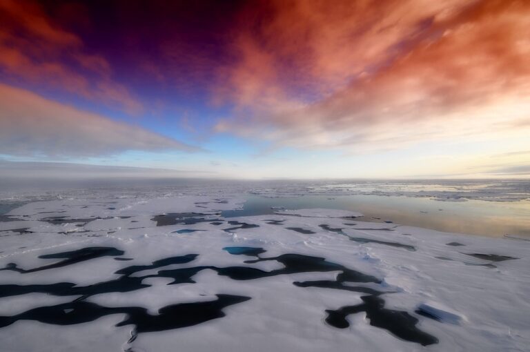 « Incroyable, l&rsquo;Arctique n&rsquo;était pas un désert de glace impénétrable » : une étude bouleversante révèle les mystères cachés des âges glaciaires dans l&rsquo;océan Arctique