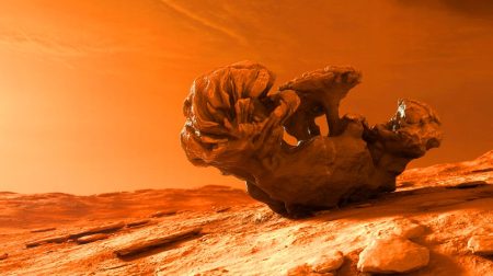 Illustration de la formation rocheuse martienne ressemblant à un corail découverte par le rover Curiosity.