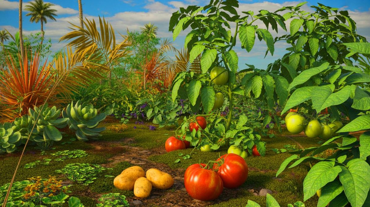 Les tomates viennent-elles vraiment d’Amérique ? « Impossible ! » s’exclame un historien français stupéfait Illustration de la rencontre évolutive entre tomates et pommes de terre il y a 9 millions d'années.