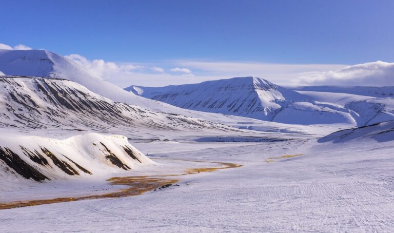 Neige ou pas, le Svalbard est « un enfer blanc devenu vert » et la planète pourrait payer le prix fort avec 50 % de fonte en 30 ans