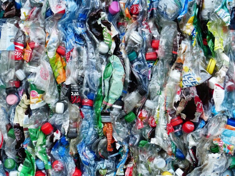 « Un océan de plastique dévastateur » : 8 millions de tonnes de microplastiques envahissent nos eaux, une catastrophe écologique en cours